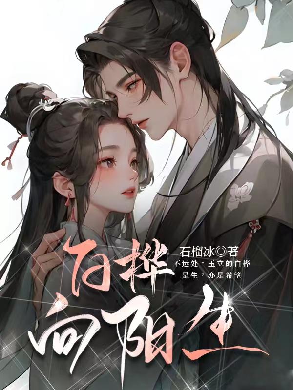 白桦向辉小说