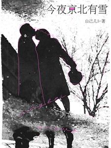 今夜京城有雪